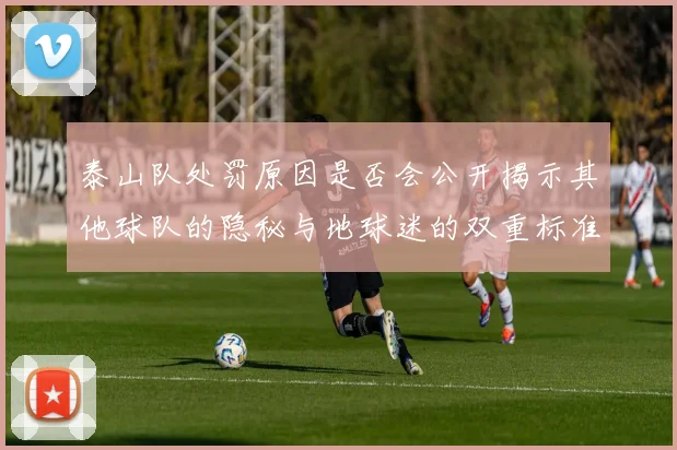 泰山队处罚原因是否会公开揭示其他球队的隐秘与地球迷的双重标准
