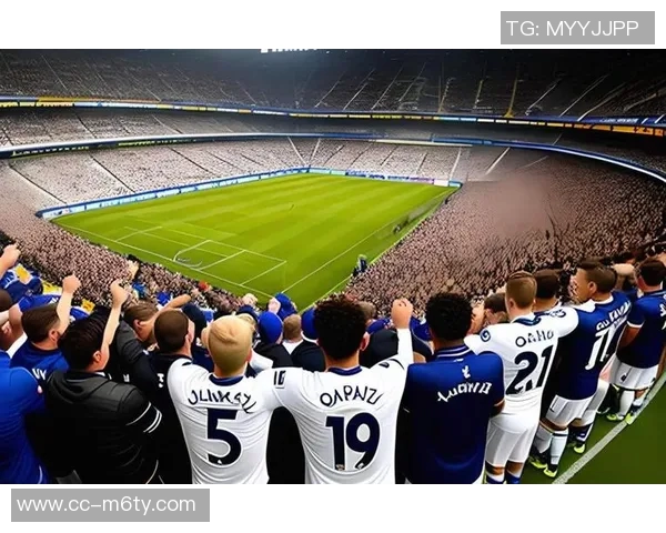 热刺球迷组织强烈反对缺乏雄心呼吁领导层与球迷直接沟通解决问题